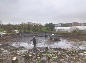 新兴河道鱼塘清淤